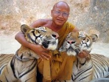ท่องเที่ยววัดเสือหลวงตามหาบัว กาญจนบุรี Tiger Temple Kanchanaburi รูปที่ 1