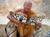 รูปย่อ ท่องเที่ยววัดเสือหลวงตามหาบัว กาญจนบุรี Tiger Temple Kanchanaburi รูปที่1