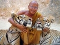 ท่องเที่ยววัดเสือหลวงตามหาบัว กาญจนบุรี Tiger Temple Kanchanaburi