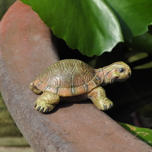 ตุ๊กตาเต่าญี่ปุ่นน้อย ทำจากเรซิ่น แบบเหมือนจริง (รับประกาศไม่มีวันตัวใหญ่) รูปที่ 3