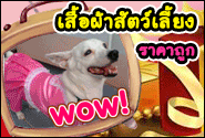 รับทำแบนเนอร์ คุณภาพดี ราคาถูก แบนเนอร์ ฟรี !!! รูปที่ 2