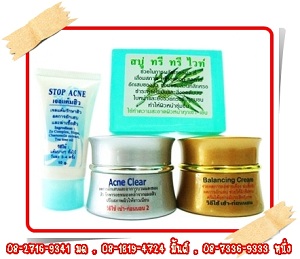 ครีมหน้าใส ACNE TREATMENT ครีมรักษาสิวอักเสบ T.082-7023428  รูปที่ 1