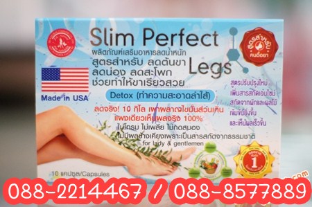 Slim Perfect Lege  รูปที่ 1