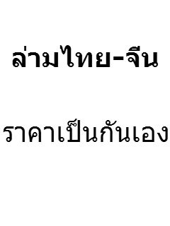 ล่าม ไกด์ freelance นำเที่ยว ซื้อของ สั่งของเมืองกวางโจว ราคานักศึกษา   รูปที่ 2