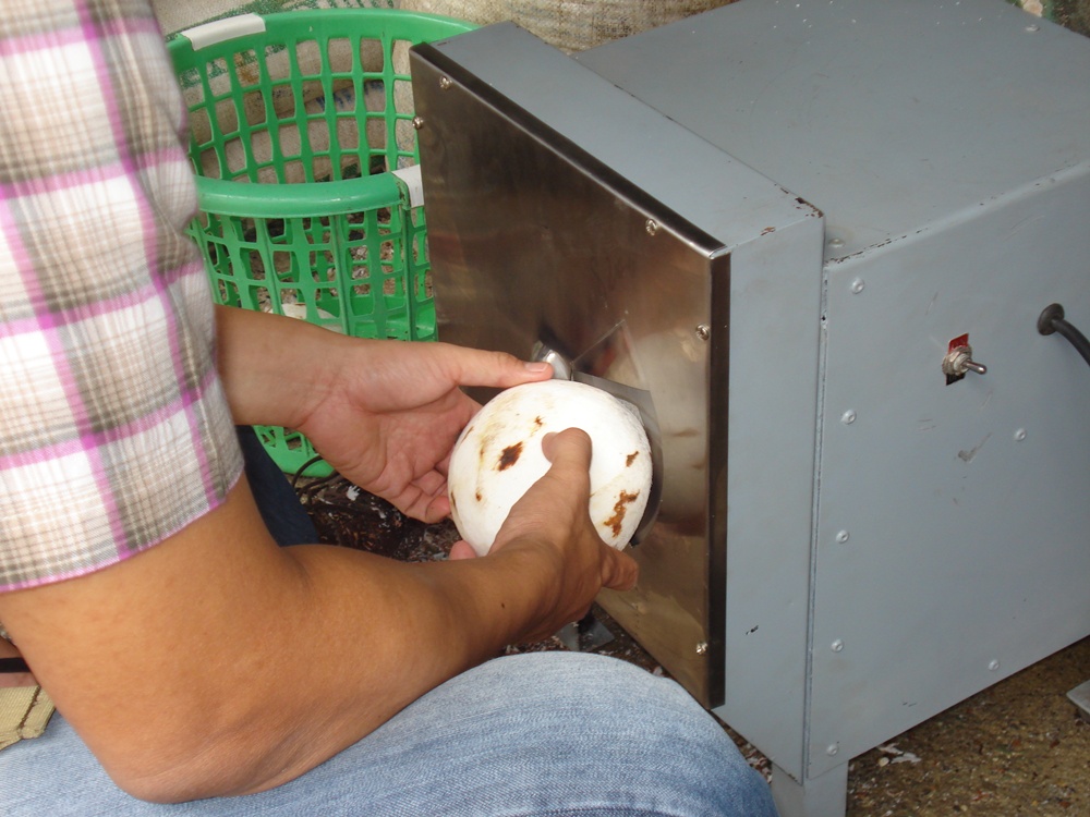 Coconut De-shelling Machine รูปที่ 2