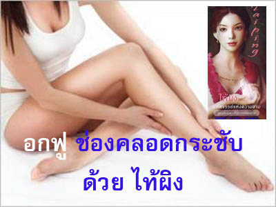 ไท้ผิง รูปที่ 2