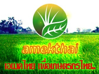 พิรุณหยก ยางฮีโร่ สารทาหน้ายางประสิทธิภาพสูง ช่วยเพิ่มปริมาณน้ำยางให้ไหลต่อเนื่องสม่ำเสมอ รูปที่ 3
