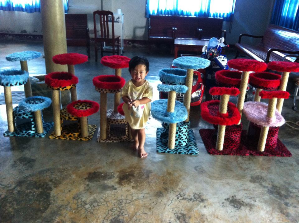 ขายส่ง ที่ข่วนเล็บแมว บ้านแมว คอนโดแมว ทำเองคะ รูปที่ 3