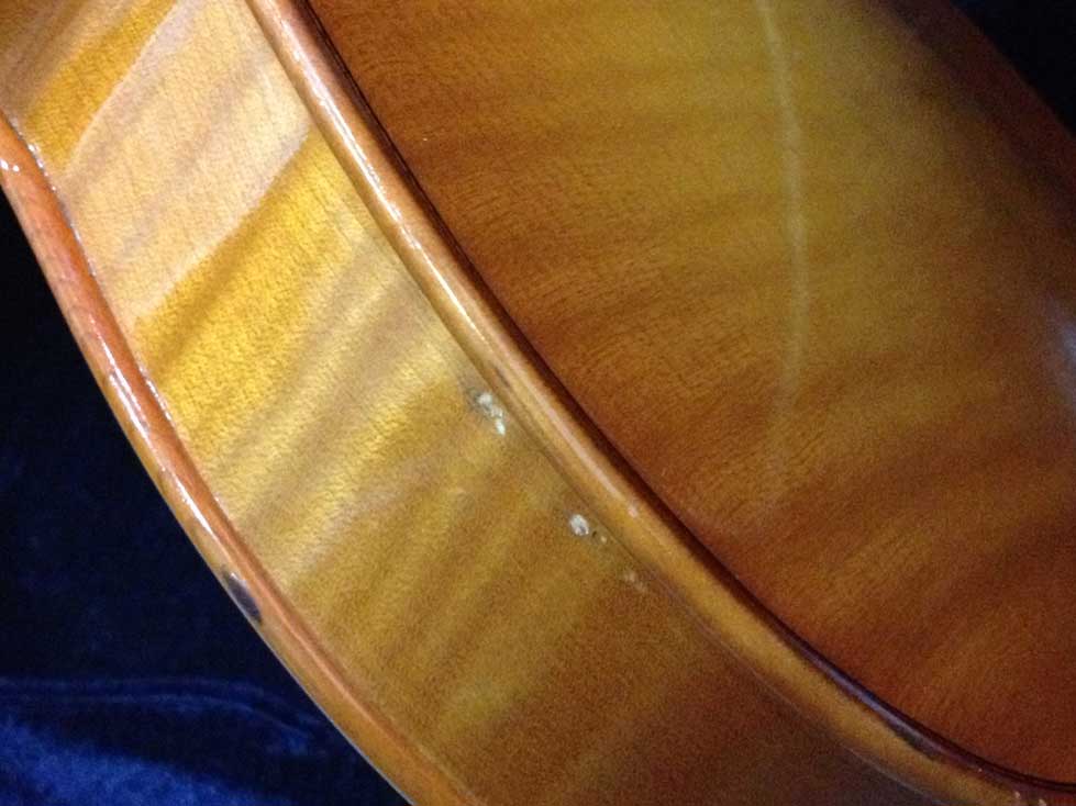 G.M.I Violin 4/4 ไม้แผ่นเดียว 98% ครบชุด รูปที่ 4