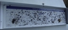รูปย่อ บริการ Service เครื่องดักแมลงทุกรูปแบบทุกยี่ห้อ โดยทีมงาน www.instickthailand.com                                     รูปที่3