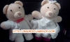 รูปย่อ แม่หมูตัวกลม ตุ๊กตาไหมพรม จำหน่ายตุ๊กตาหมีแต่งงาน Teddy Bear Wedding รูปที่5
