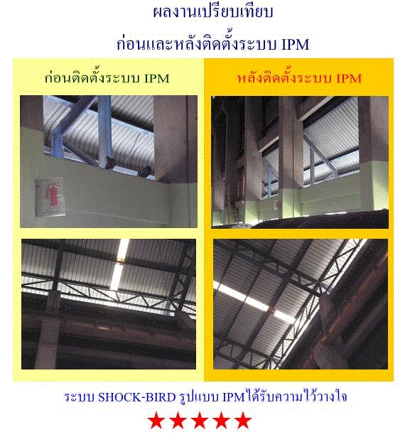 ไล่นกด้วยระบบไฟฟ้า รูปแบบ IPM โดยทีมวิศวกรด้านไฟฟ้าโดยตรง รับรองผล 100% รูปที่ 5