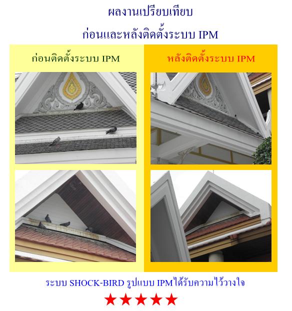 ไล่นกด้วยระบบไฟฟ้า รูปแบบ IPM โดยทีมวิศวกรด้านไฟฟ้าโดยตรง รับรองผล 100% รูปที่ 7