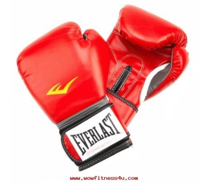 ST-73 EVERLAST Pro Style Training Boxing Gloves ถุงมือ นวมชกมวยไทยไซส์ 12 ออนซ์ รูปที่ 1