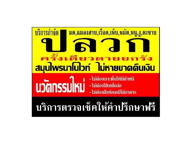 กำจัดปลวกเชียงใหม่ ด้วยสมุนไพร นาโนเทคโนโลยี รูปที่ 2