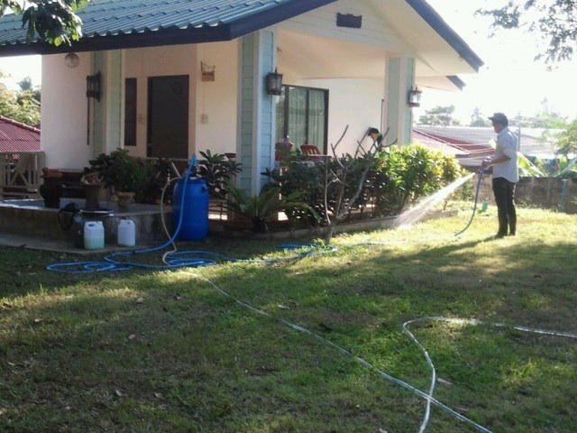 กำจัดปลวกเชียงใหม่ ด้วยสมุนไพร นาโนเทคโนโลยี รูปที่ 4