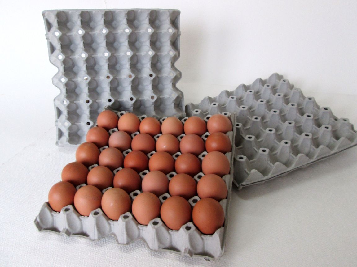 จำหน่ายถาดไข่กระดาษ แผงไข่กระดาษ  ลังไข่กระดาษ กล่องไข่กระดาษ กะบะไข่ รังไข่ ลังไข่กระดาษ รูปที่ 1