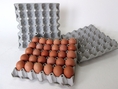 จำหน่ายถาดไข่กระดาษ แผงไข่กระดาษ  ลังไข่กระดาษ กล่องไข่กระดาษ กะบะไข่ รังไข่ ลังไข่กระดาษ