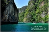 รูปย่อ เที่ยวเกาะพีพี อ่าวมาหยา เกาะไข่นอก โดยเรือเร็ว ราคาคนไทย  รูปที่4