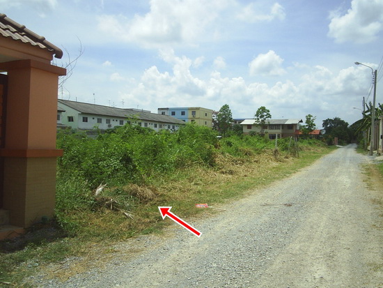 ขายที่ดิน 100 ตรว ซ.วัดส้มเกลี้ยง บางใหญ่ รูปที่ 1