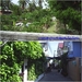 รูปย่อ ขายบ้านเดี่ยว2ชั้น 51วา ซ.จรัญสนิทวงศ์22 รูปที่7