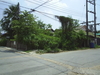 รูปย่อ ขายที่ดินเปล่า 51ตรว ม.ดารารัศมี พุทธมณฑลสาย4 รูปที่1