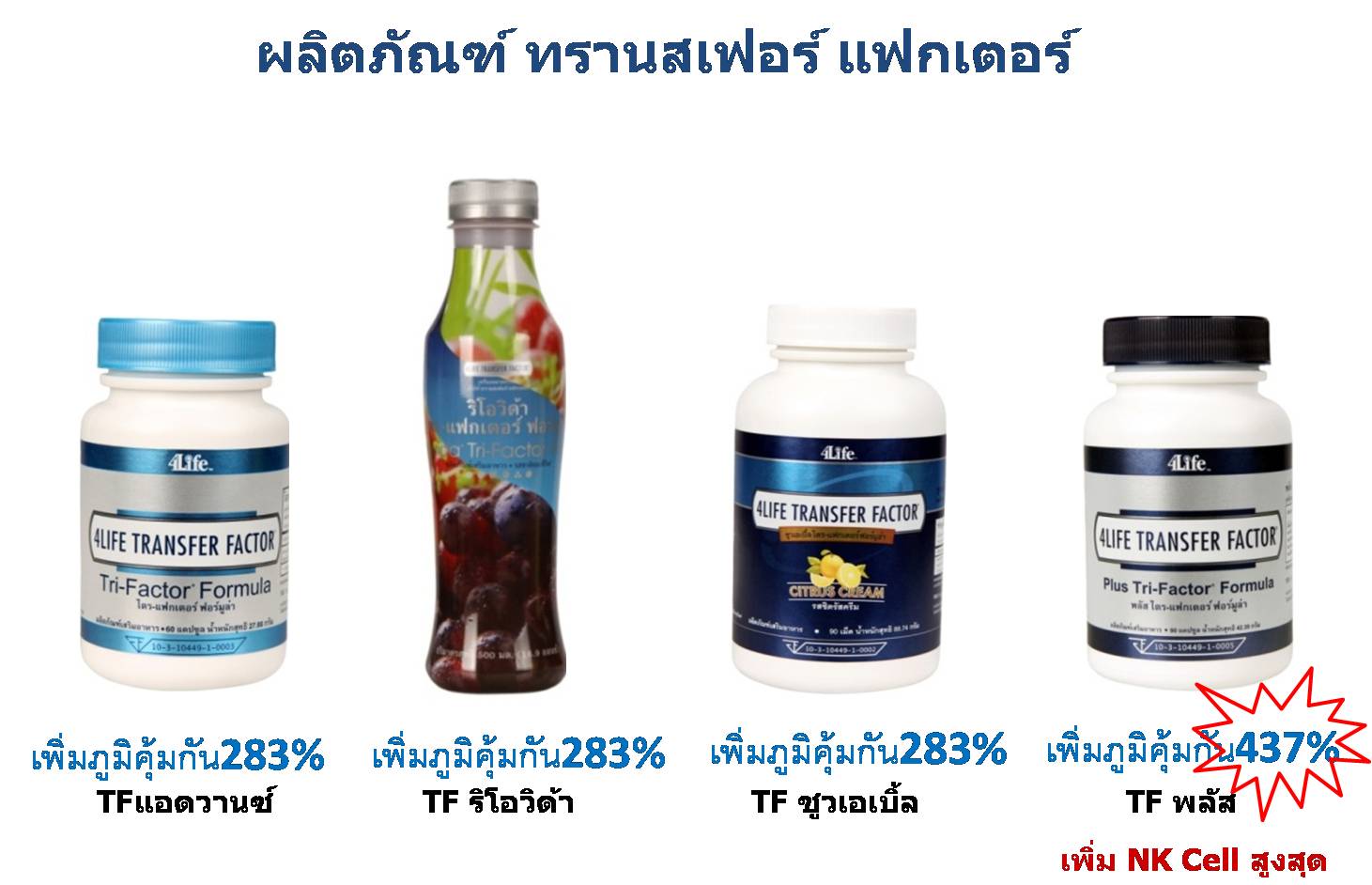 ทรานสเฟอร์ แฟกเตอร์ รูปที่ 6