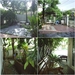 รูปย่อ ขายบ้านเดี่ยว 61.5 ตรว ม.ศุภาลัยออร์คิด วัชรพล รูปที่4