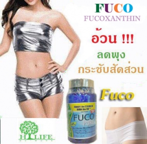 FUCO - ฟูโก้ (พุงหาย แขนลด ขาเล็ก) รูปที่ 1