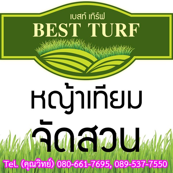 หญ้าเทียม Best Turf รูปที่ 3