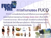 รูปย่อ FUGO PURE (พุงยุบ แขนลด ขาเล็ก) รูปที่2