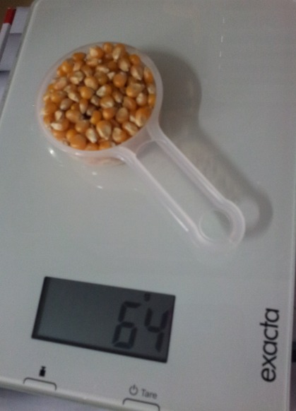 ข้าวโพดทรงกลม พันธุ์กลม NON-GMO รูปที่ 4