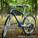 รูปย่อ จักรยาน BMW ยอดนิยมที่สุด Limited Edition 21 speed สีน้ำเงิน รูปที่1