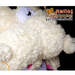 รูปย่อ ทุบราคา ตุ๊กตาหมีโคริ คุมะ มีซิปหลัง น่าสะสม Bear Toy Doll รูปที่5
