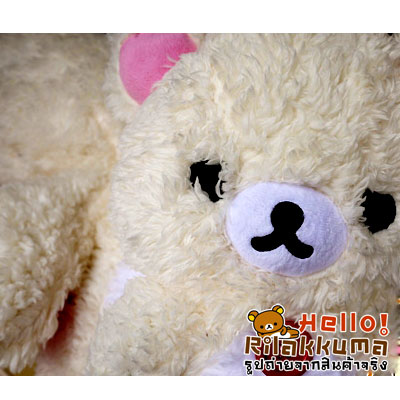 ทุบราคา ตุ๊กตาหมีโคริ คุมะ มีซิปหลัง น่าสะสม Bear Toy Doll รูปที่ 4