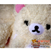 รูปย่อ ทุบราคา ตุ๊กตาหมีโคริ คุมะ มีซิปหลัง น่าสะสม Bear Toy Doll รูปที่4
