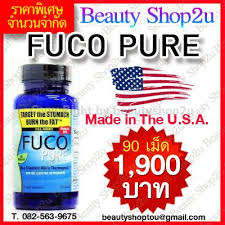 Fuco Pure Hily รูปที่ 1