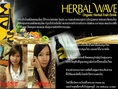 Herbal Wave  ช่วยกำจัดและขัดล้างสารพิษที่สะสมอยู่ใน  ร่างกายด้วยระบบวิธีธรรมชาติ (Detox)