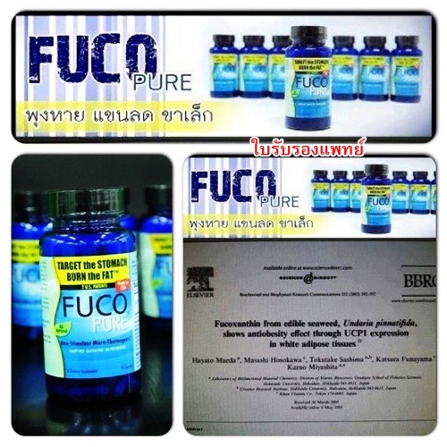 กิน FUCO PURE ไม่โยโย่? รูปที่ 1