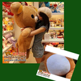 ตุ๊กตาหมีตัวโต ตัวใหญ่สุด จากญี่ปุ่น 110 เซน ถูกมาก ส่งฟรีจ้า