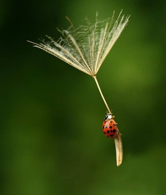 ไม่ต้องเดินหางานให้เสียเวลา โทร.มาหาเราสิคะ ไ้ด้งานทำทันที รูปที่ 1