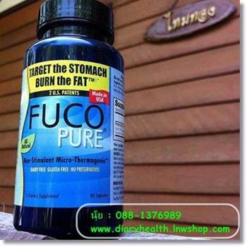 ฟูโก้ FUCO ลดน้ำหนัก ความอ้วน ไฮลี่ hyli ปรับฮอร์โมนเพศหญิง มี อย. ปลอดภัย รูปที่ 1