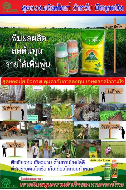  ไฮไลฟ์โกรเอสและแอล สารอาหารพืชอินทรีย์เข้มข้น อุดมไปด้วยสารอาหารรวมทั้งสิ้น 11 ชนิดที่พืชต้องการ รูปที่ 2