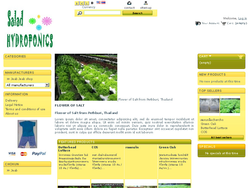 ผักสลัดไฮโดรโปนิกส์ saladhydroponics ปลอดสารพิษ ราคาส่ง รูปที่ 1
