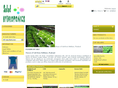 ผักสลัดไฮโดรโปนิกส์ saladhydroponics ปลอดสารพิษ ราคาส่ง