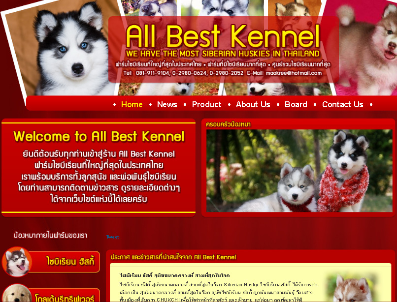 allbest kernel - ฟาร์มไซบีเรียนที่ใหญ่ที่สุด จำหน่ายสุนัขไซบีเรียน รูปที่ 1