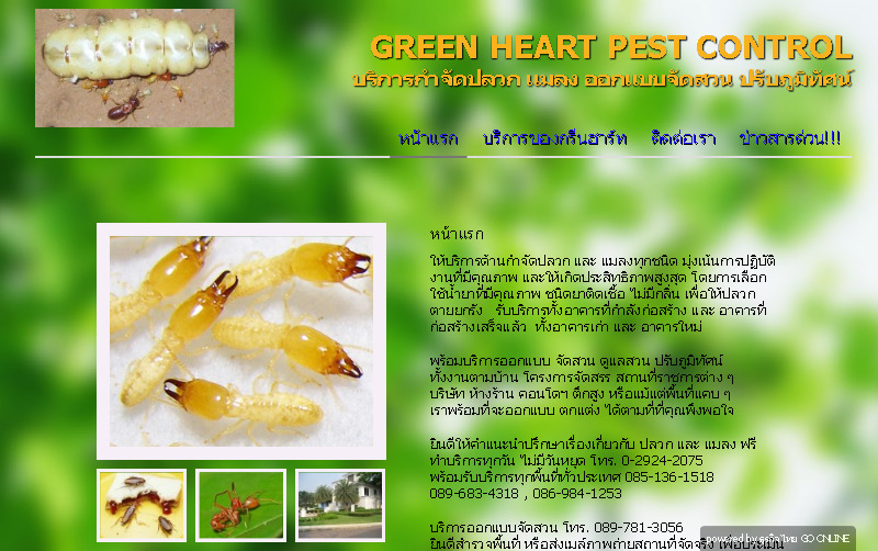 GREEN HEART PEST CONTROL บริการกำจัดปลวก กำจัดแมลง ราคาถูก รูปที่ 1