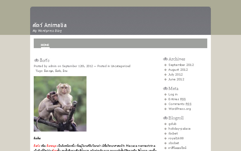 สัตว์ Animalia ลิงกัง หรือ ลิงกะบุด เป็นลิงชนิดหนึ่ง ที่อยู่ในวงศ์ลิงโลกเก่า รูปที่ 1