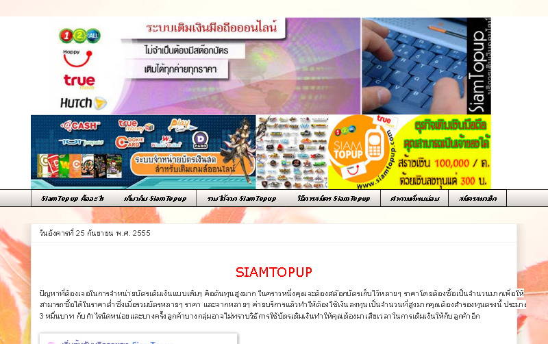 ธุรกิจออนไลน์ SiamTopup บริการเติมเงินมือถือ จำหน่ายบัตรเกมส์ออนไลน์ รูปที่ 1