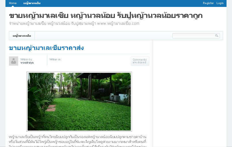 ขายหญ้ามาเลเซียหญ้านวลน้อยราคาส่งแหล่งปลูก หญ้ามาเลเซีย.com รูปที่ 1